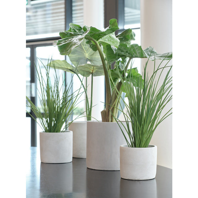 Sement krukke rund D17 cm