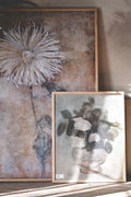 Poster 70×100 cm krysantemum